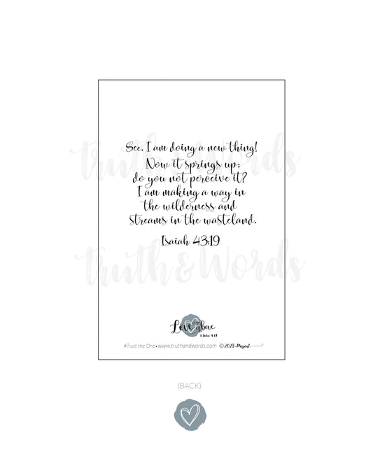 "Trust The One" 4 X 6 Card 25 Pack